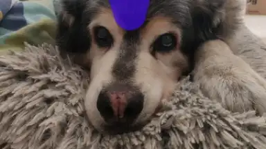 PhotoRoom скриншот 9