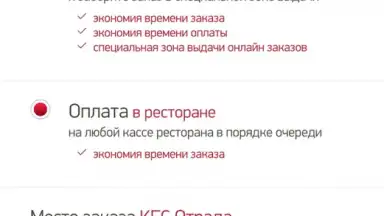 KFC (RU) скриншот 2