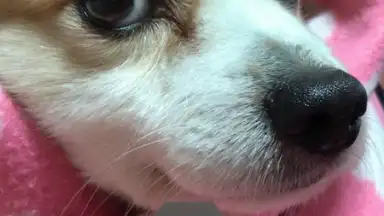 Secret Notes2 скриншот 4