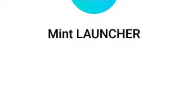Mint Launcher скриншот 1