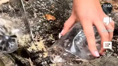 YouTube скриншот 8