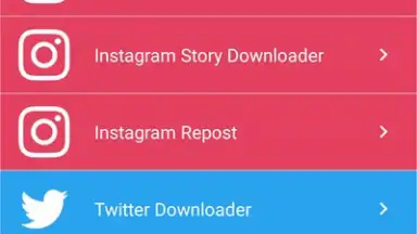 Advanced Downloader скриншот 2