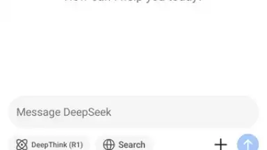 DeepSeek скриншот 9