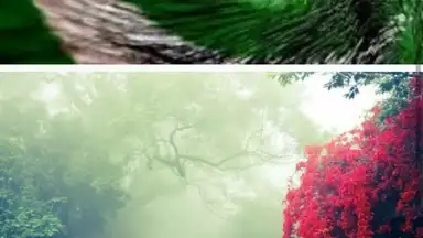 Heart keyboard скриншот 1