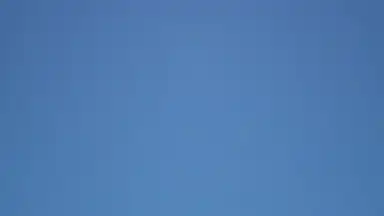 Catopia: Rush скриншот 7