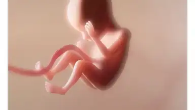 Pregnancy + скриншот 1