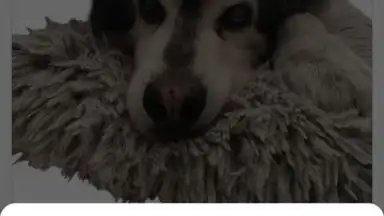 PhotoRoom скриншот 8