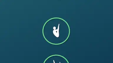 Veriflite скриншот 3