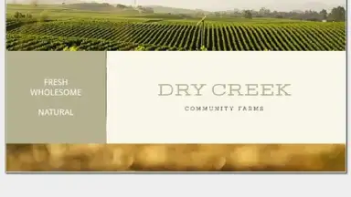 Google Slides скриншот 10