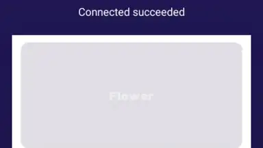 Flower VPN скриншот 1