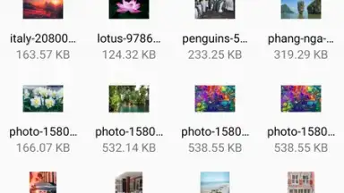 FM File Manager скриншот 3