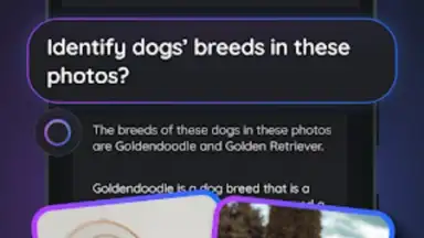 Gemmy AI скриншот 4