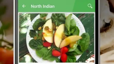 Indian Book скриншот 4