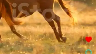 Neogram скриншот 5