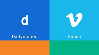 Daily Video Downloader скриншот 1