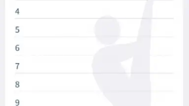 Veriflite скриншот 5