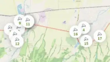 Фридом скриншот 3