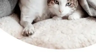 Zooplus: Online pet shop скриншот 4