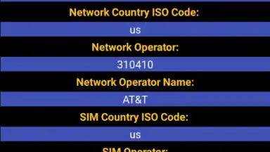 Sim Info скриншот 1