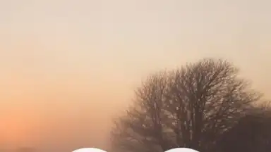 Meditation Music Metapps скриншот 9