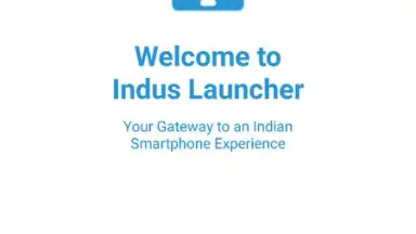 Indus Launcher скриншот 3