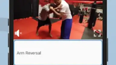 Ultimate MMA Fighting Program скриншот 9