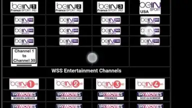 WSS 2.0 World Sports Streams скриншот 1
