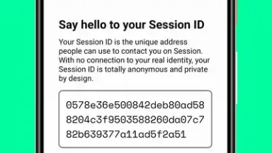 Session скриншот 6