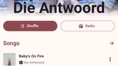 InnerTune скриншот 11