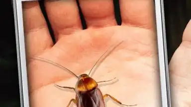 Cockroach Hand Funny Joke скриншот 2