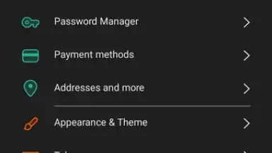 Vivaldi скриншот 23