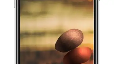 Neal Fun скриншот 3