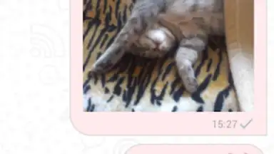 Triple chat, online dating скриншот 2