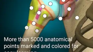 3D Anatomy Learning скриншот 7