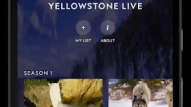Nat Geo TV скриншот 13