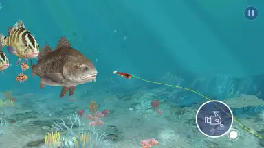 Fishing Strike скриншот 4