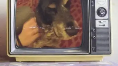 V Camera скриншот 3