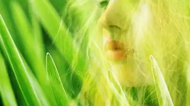 Blender скриншот 4