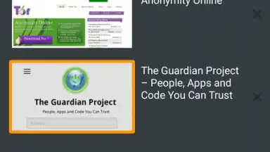 Orfox: Tor Browser скриншот 8