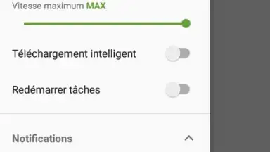 IDM (internet download menager) скриншот 7