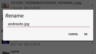 Sliding Explorer скриншот 4