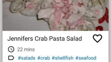 Salad Recipes FREE скриншот 4