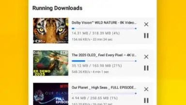 Vidora YouTube Downloader | free & fast скриншот 9