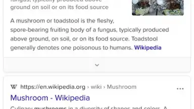 Tor Browser скриншот 5