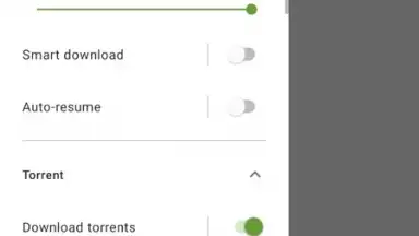Advanced Download Manager скриншот 10