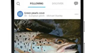 FishBrain скриншот 5
