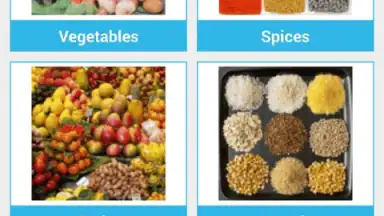 Food Dictionary скриншот 5