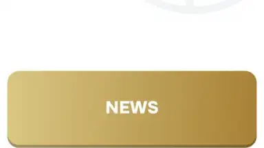 Linebet News скриншот 2