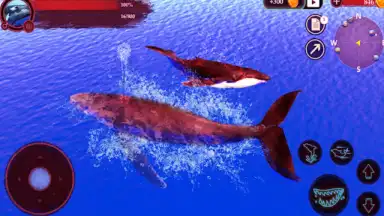 The Humpback Whales скриншот 21