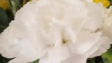 Open Camera скриншот 1